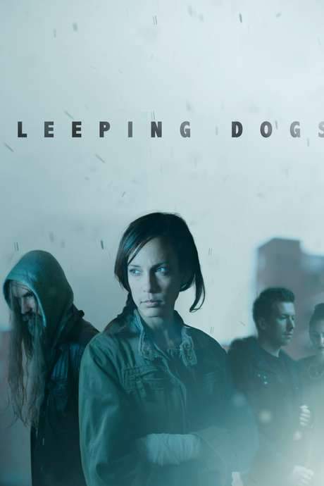 Sleeping Dogs
